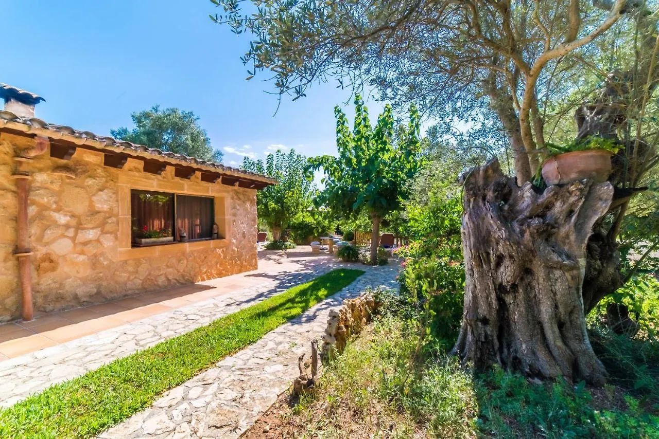 Ideal Property Mallorca - Finca Na Babayana Capdepera  Spain